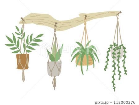流木と4種のハンギングプランツのイラスト 112000276