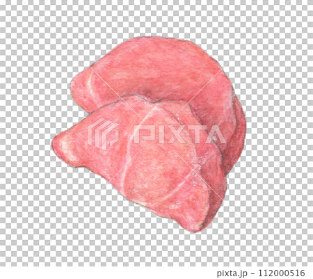 Two slices of pork tenderloin watercolor pencil illustration Two slices of pork tenderloin watercolor pencil illustration 112000516