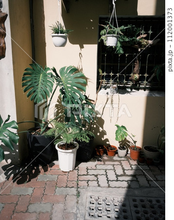 植物 工場 プランツ 112001373