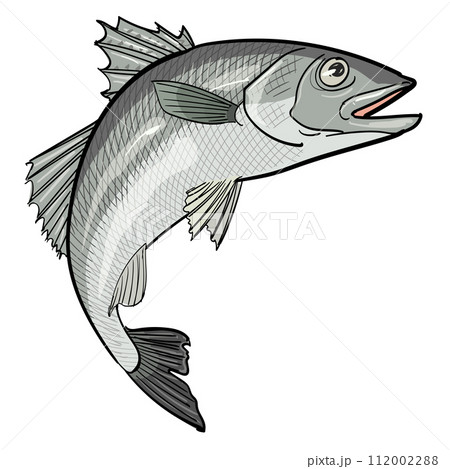 跳ねる魚‐鱸 112002288