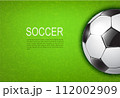 soccer ball on field 112002909