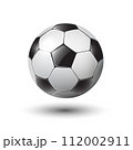 soccer ball on white 112002911