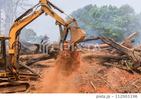 Construction of residential complex is being prepared by excavators tractors uprooting trees Construction of residential complex is being prepared by excavators tractors uprooting trees 112003196