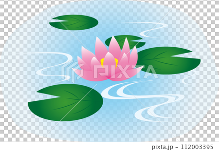 睡蓮(蓮花)的插圖 睡蓮(蓮花)的插圖 112003395