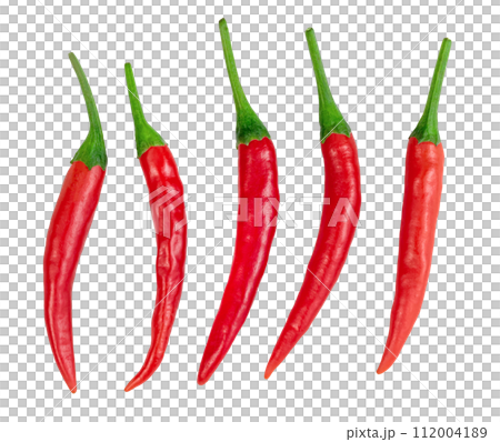 chili pepper isolated chili pepper isolated 112004189