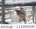 トナカイの可愛いおしり 112004385