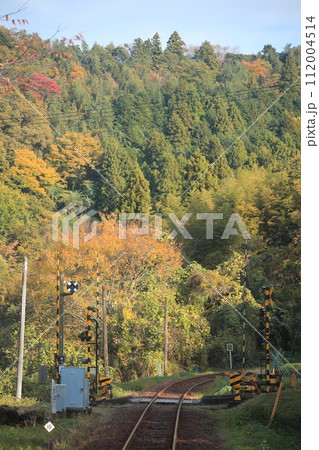 ローカル線・山間部の踏切と紅葉 112004514