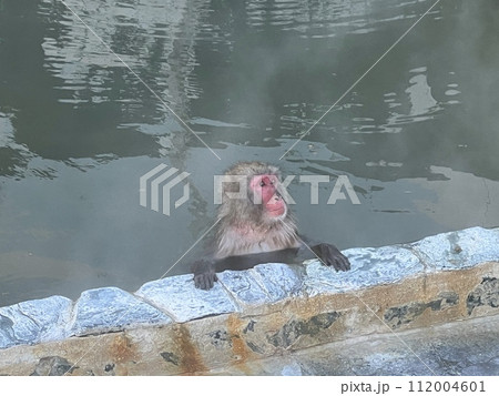 温泉に浸かる猿 112004601