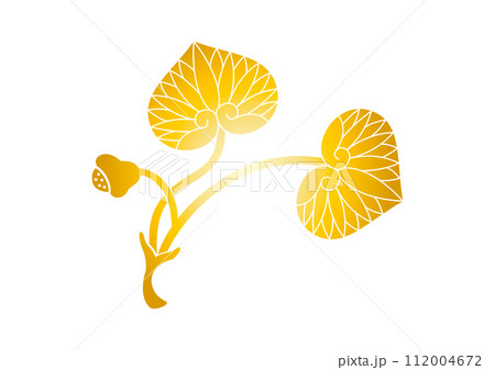 双葉葵ゴールド 上賀茂神社 双葉葵ゴールド 上賀茂神社 112004672