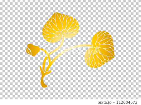 双葉葵ゴールド 上賀茂神社 双葉葵ゴールド 上賀茂神社 112004672