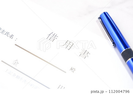 お金を貸し借りする際の取り決めを明文化した借用書 お金を貸し借りする際の取り決めを明文化した借用書 112004796