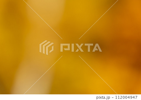 背景素材　グラデーション　黄色 112004947
