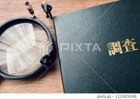 調査するビジネスマンと調査報告書 112005048