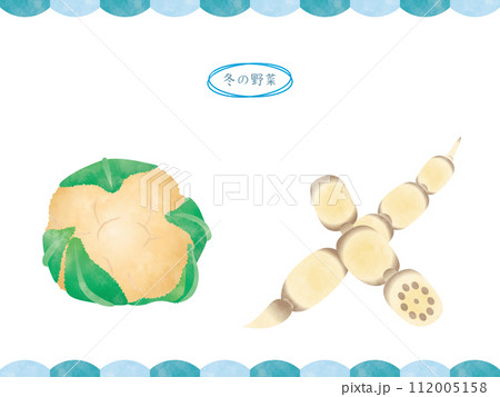 手書き風冬野菜-カリフラワー・レンコン 112005158