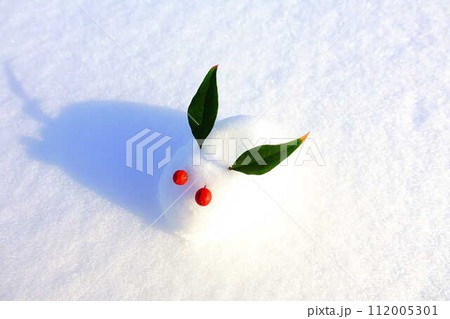 雪うさぎ　雪像　ウサギ　うさぎ　兎 112005301