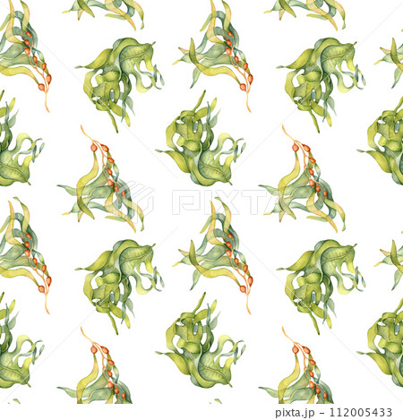 Watercolor seamless pattern of colorful laminaria illustration isolated on white. Kelp, seaweeds hand drawn. Painted algae. Design for background, textile, packaging, wrapping, marine collection 112005433