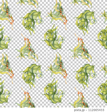 Watercolor seamless pattern of colorful laminaria illustration isolated on white. Kelp, seaweeds hand drawn. Painted algae. Design for background, textile, packaging, wrapping, marine collection 112005433
