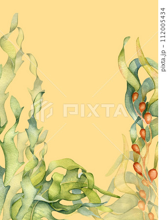 Watercolor frame of laminaria illustration isolated on beige background. Ascophyllum kelp hand drawn. Painted sea plants, herb seaweed. Design element for package, label, advertising, marine card 112005434