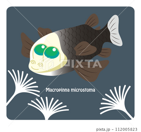 ユニークな深海魚 デメニギスのイラスト ベクター Opisthoproctidae 112005823
