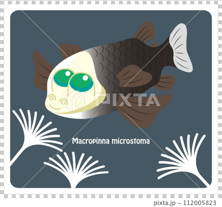 ユニークな深海魚 デメニギスのイラスト ベクター Opisthoproctidae 112005823