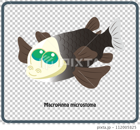 Unique deep sea fish Demenigis illustration vector Opisthoproctidae 112005825