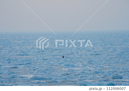 寒い国の流氷2 112006007