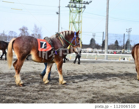 Banei keiba Horse Racing is the only race of its kind in the world. Large draft horses, weighing about 1 ton, race on a separate course in a 200 m straight line while pulling an iron sled that weighs  112006510
