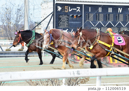 Banei keiba Horse Racing is the only race of its kind in the world. Large draft horses, weighing about 1 ton, race on a separate course in a 200 m straight line while pulling an iron sled that weighs  112006519