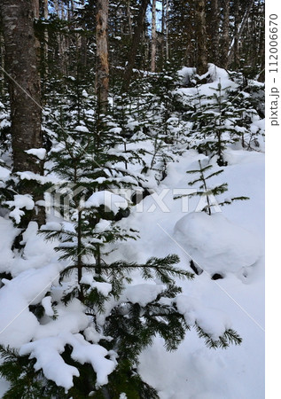 Lake Shikaribetsu is located in Tokachi subprefecture, Eastern Hokkaido, Japan. It hidden up deep in the Daisetsuzan mountains in the middle of the Shikaribetsu volcanic group at an elevation of 810 112006670
