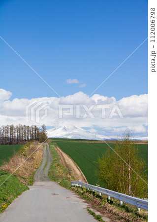 春の晴れた日の緑の畑作地帯を通る道路 112006798