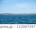 堀江港2024その1 112007397
