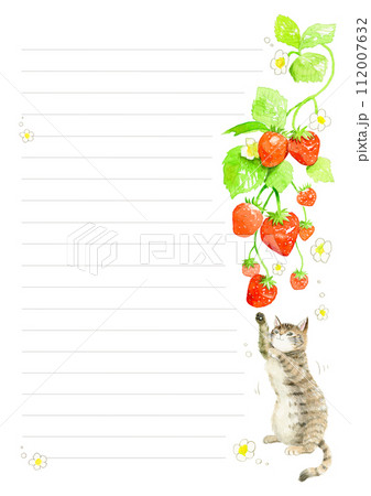 後ろ足で立ち上がり、垂れ下がるイチゴにじゃれるキジトラ猫の手描き水彩イラスト 罫線入り便箋 後ろ足で立ち上がり、垂れ下がるイチゴにじゃれるキジトラ猫の手描き水彩イラスト 罫線入り便箋 112007632