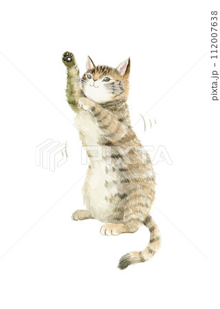 後ろ足で立ち上がり、空中のものにじゃれるキジトラ猫の手描き水彩イラスト 112007638