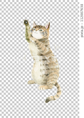 後ろ足で立ち上がり、空中のものにじゃれるキジトラ猫の手描き水彩イラスト 112007638