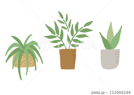 3種の観葉植物のイラスト 112008289