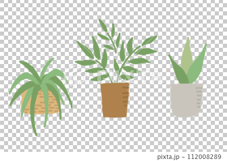3種の観葉植物のイラスト 112008289