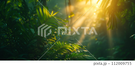 Sunbeams piercing through vibrant green leaves in a peaceful forest, creating a serene and fresh atmosphere. 112009755
