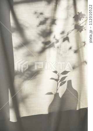 Background with shadows shining through a window with sunlight streaming in. 112010522