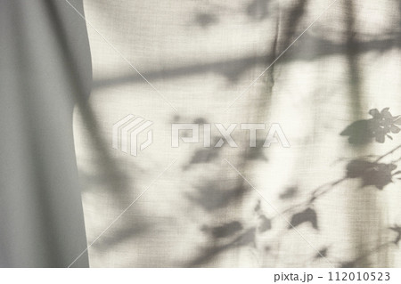 Background with shadows shining through a window with sunlight streaming in. 112010523