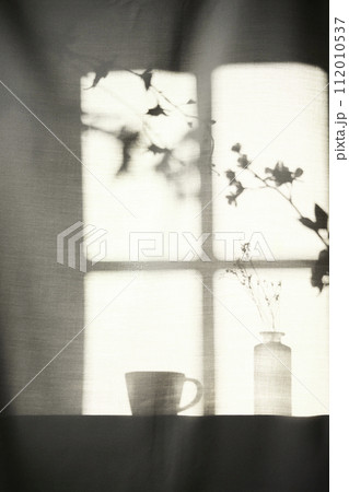 Background with shadows shining through a window with sunlight streaming in. 112010537