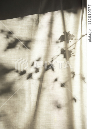 Background with shadows shining through a window with sunlight streaming in. Background with shadows shining through a window with sunlight streaming in. 112010577