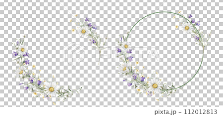 Wreath of yellow and white flower meadow, forest flowers. Watercolor hand painting illustration on isolate. Circlet of flowers with daisy or chamomile and violet bluebell. Botanical summer wildflower. 112012813