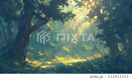 森の中の木漏れ日 森の中の木漏れ日 112013151