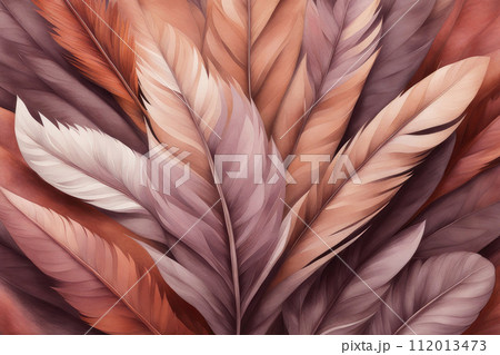 A banner template with colourful feathers and shadows. 112013473