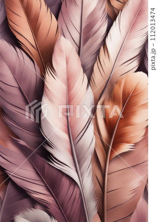 A banner template with colourful feathers and shadows. 112013474