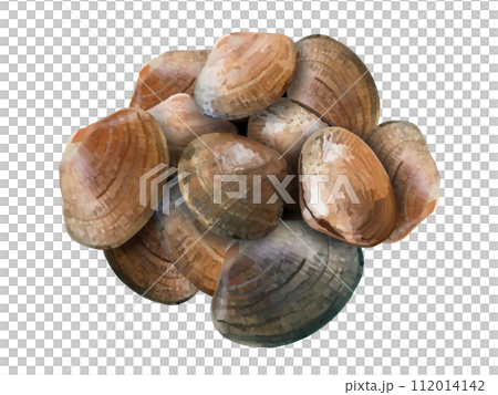 蛤蜊(12只) 蛤蜊(12只) 112014142