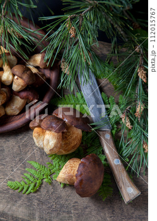 Imleria Badia or Boletus badius mushrooms commonly known as the bay bolete, clay bowl with mushrooms and knife on vintage wooden background.. 112015767
