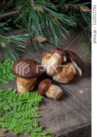 Several Imleria Badia or Boletus badius mushrooms commonly known as the bay bolete on vintage wooden background.. 112015782
