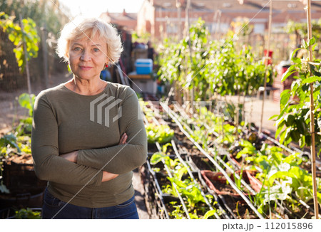 Portrait of senior woman in garden 112015896