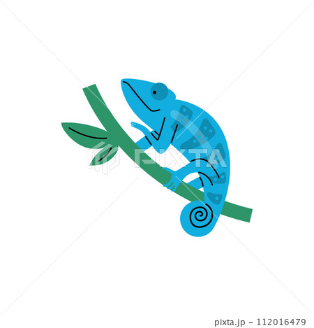 Blue chameleon on branch vector illustration 112016479